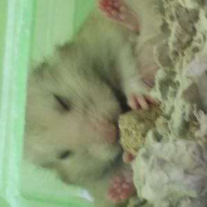 Meet your Posher, Aubrey